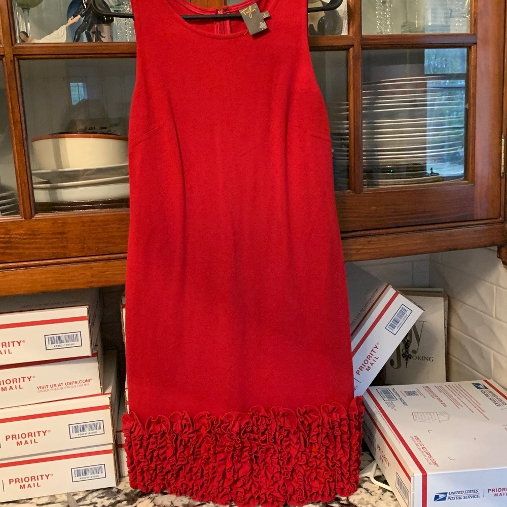 Taylor back zip bottom ruffle dress. Worn once